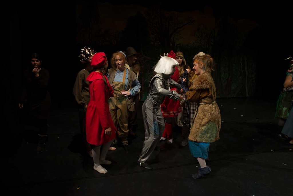 Schneekonigin-20161120-40.jpg