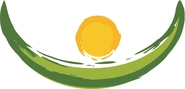 logo valetudo